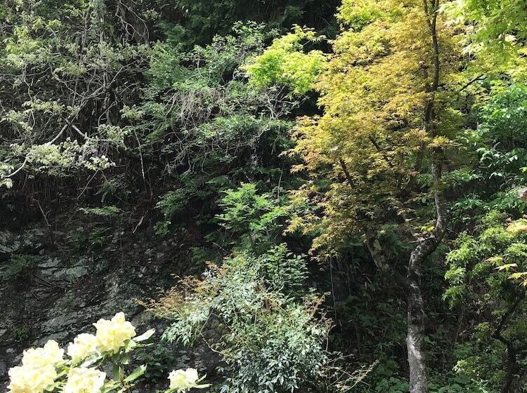 اتاق استاندارد, Koyasan Guest House Tommy