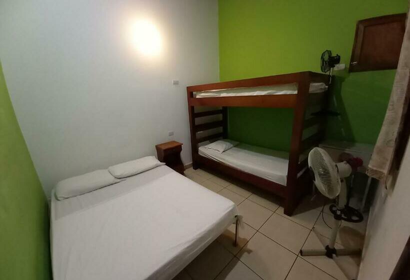 اتاق استاندارد چهار تخته, Oasis Hostel