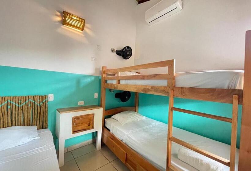 اتاق استاندارد چهار تخته, Oasis Hostel