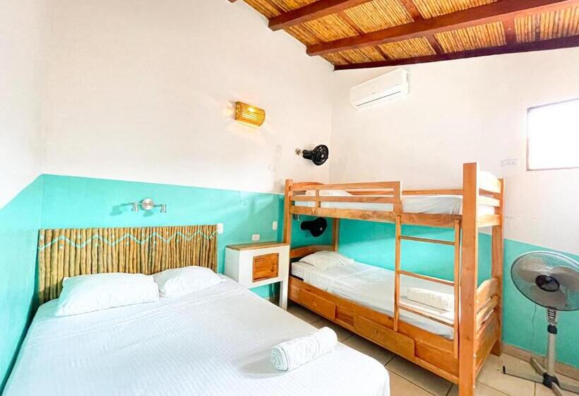 اتاق استاندارد چهار تخته, Oasis Hostel
