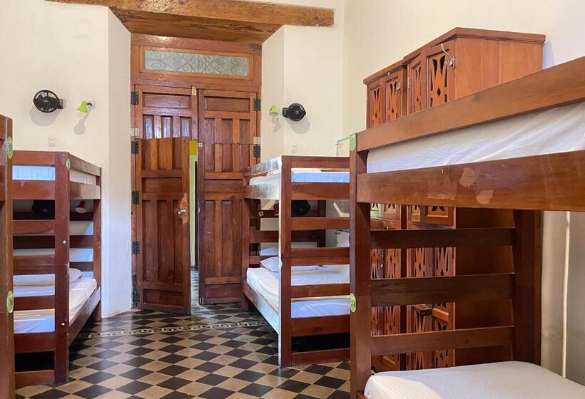 تختخواب در اتاق مشترک, Oasis Hostel