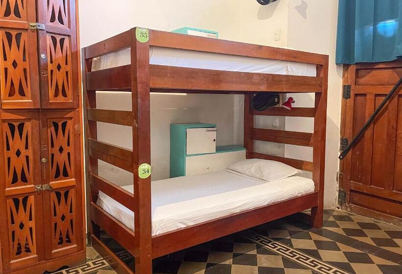 تختخواب در اتاق مشترک, Oasis Hostel
