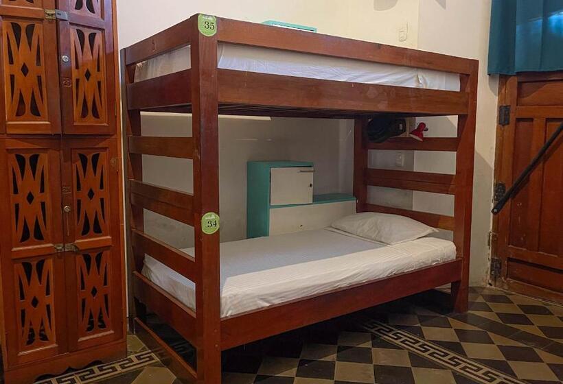 تختخواب در اتاق مشترک, Oasis Hostel