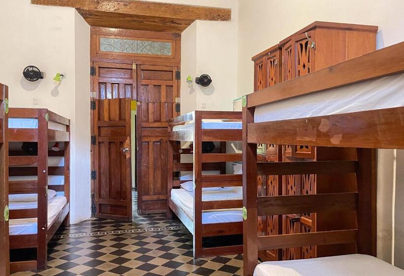 تختخواب در اتاق مشترک, Oasis Hostel