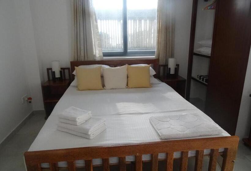 اتاق استاندارد, Amssler Beach Stay