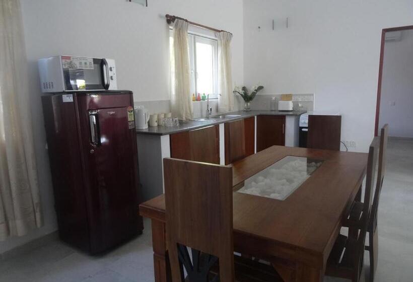 آپارتمان 1 خوابه همکف, Amssler Beach Stay