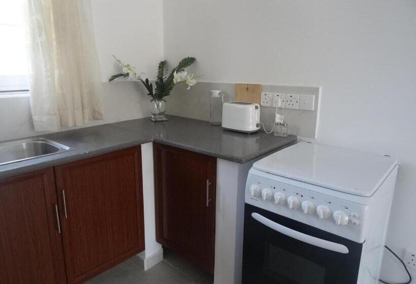 آپارتمان 1 خوابه همکف, Amssler Beach Stay
