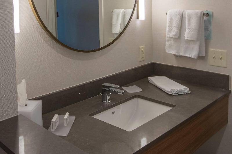 اتاق استاندارد با تخت دو نفره بزرگ, Fairfield Inn & Suites Philadelphia Valley Forge/great Valley