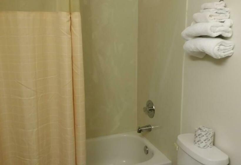 اتاق استاندارد با تخت بزرگ, Redwood Inn Willits