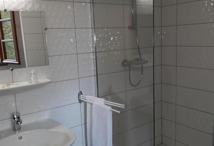 اتاق سوپریور با تخت بزرگ, Le Relais De Boralde