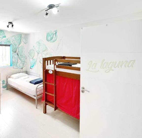 تختخواب در اتاق مشترک, Tenerife Experience Hostel