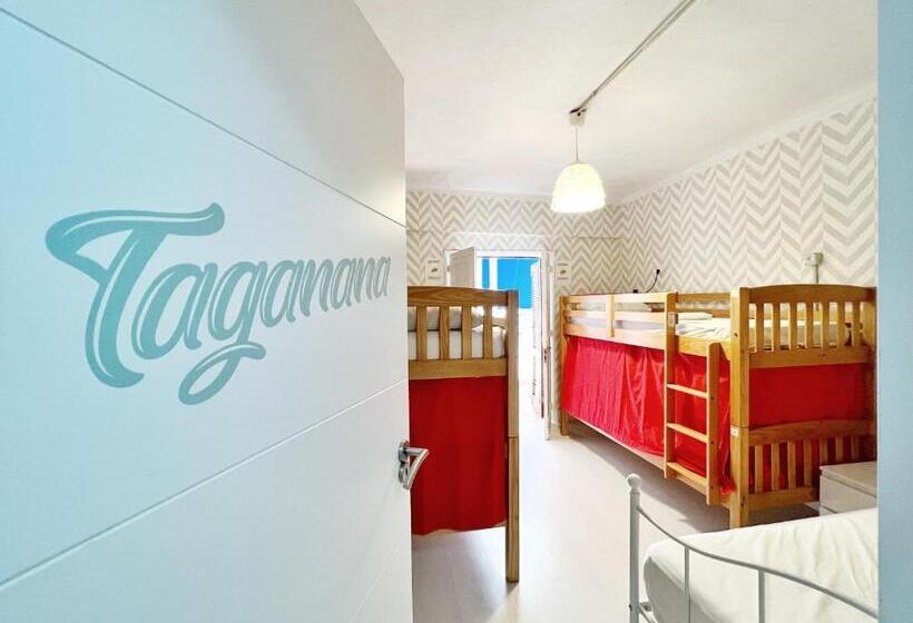 تختخواب در اتاق مشترک, Tenerife Experience Hostel