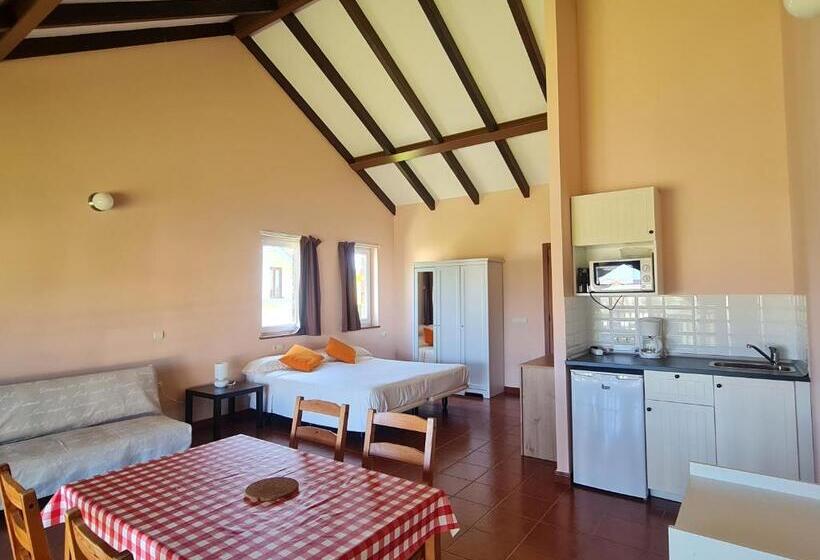 استودیو استاندارد با تراس, Casa Tésera