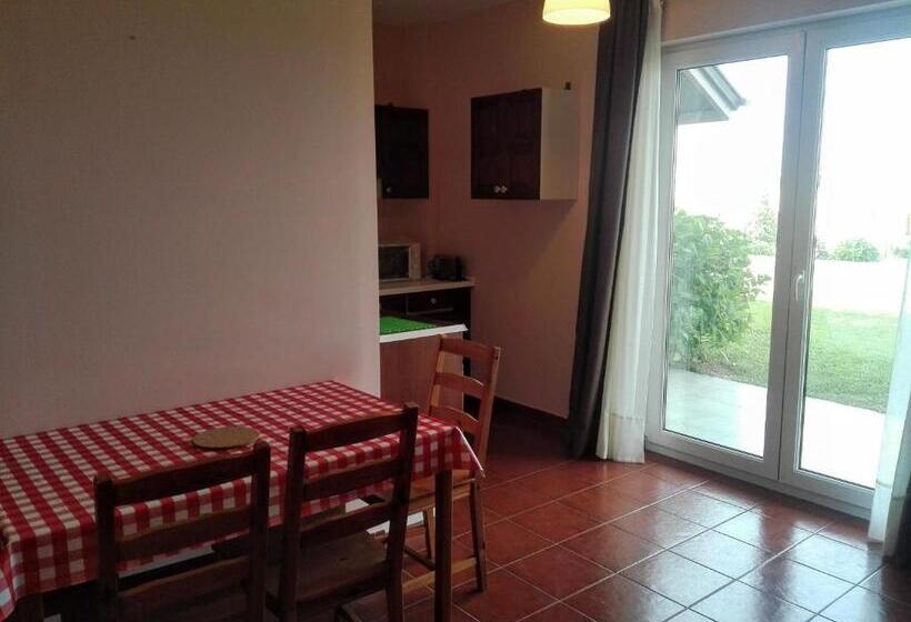 استودیوی استاندارد, Casa Tésera