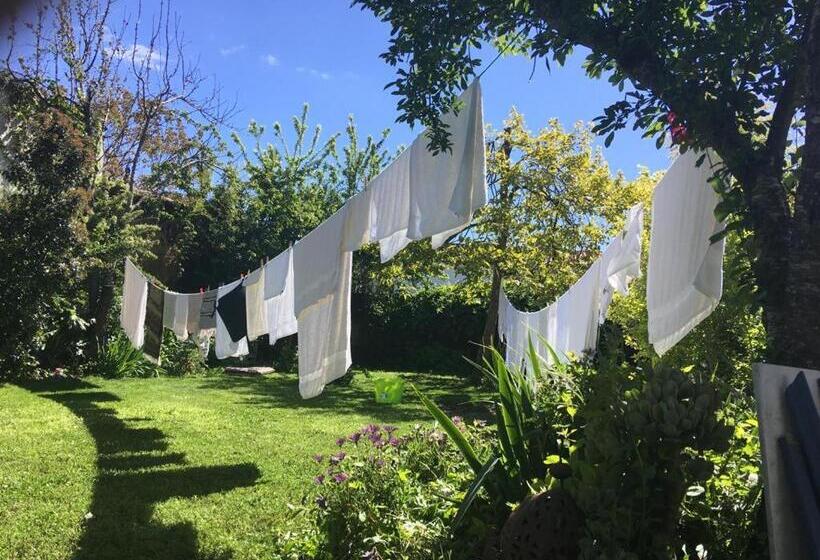 اتاق استاندارد, Posada Del Castaño