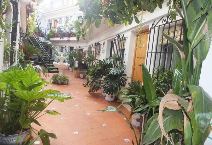 اتاق استاندارد یک نفره, Hostal El Patio