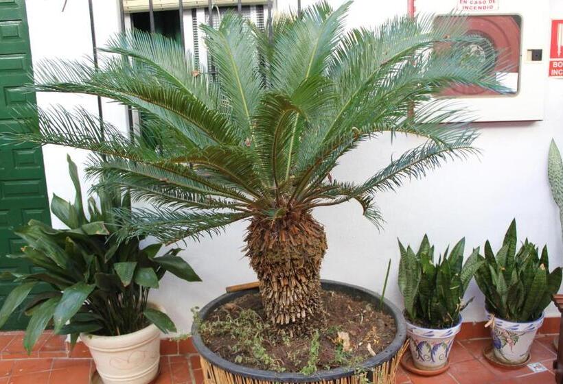 اتاق استاندارد سه نفره, Hostal El Patio
