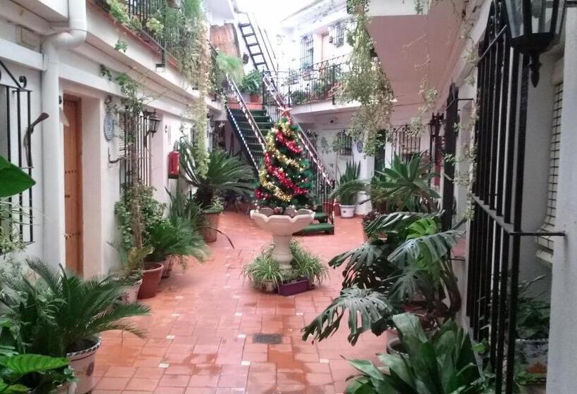 اتاق استاندارد چهار تخته, Hostal El Patio