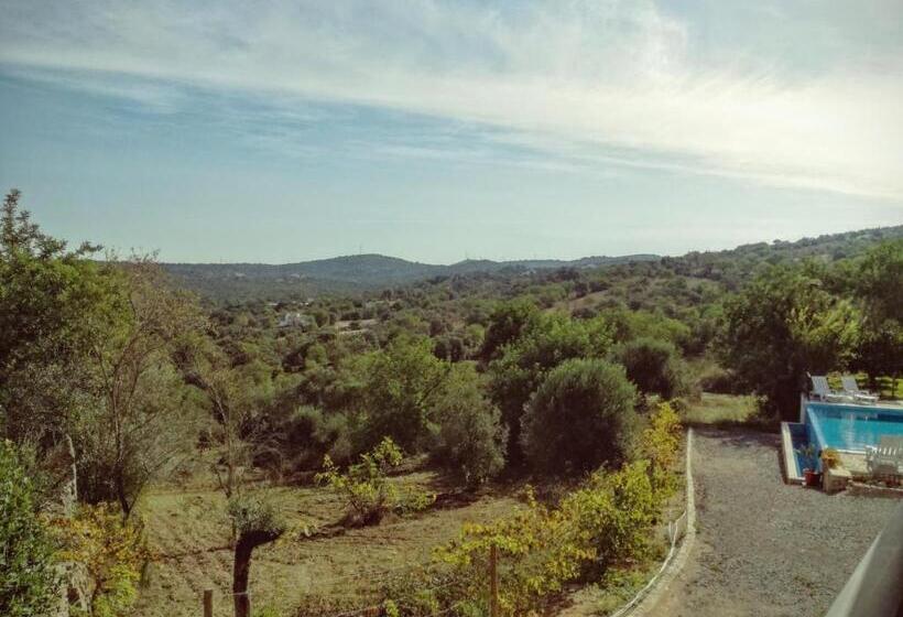 آپارتمان 1 خوابه, Monte Da Ribeira