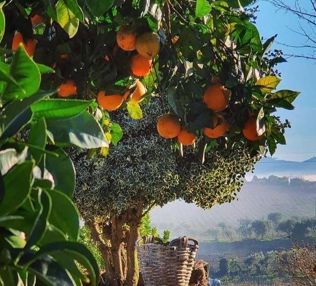 اتاق لوکس با چشم‌انداز باغ, Casa Dos Barros Winery Lodge By Vintage Theory