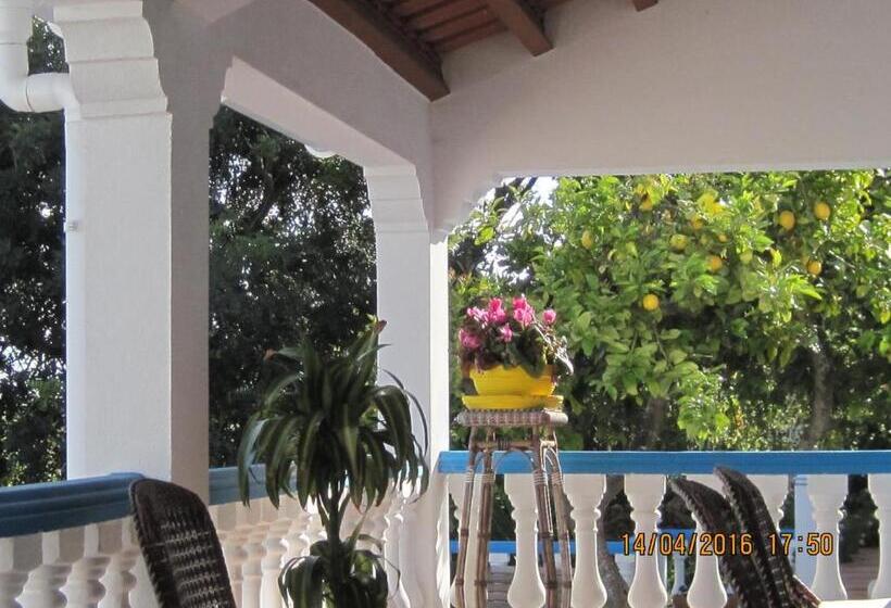 خانه 2 خوابه, Quinta Da Fonte Em Moncarapacho