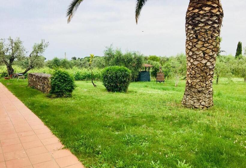 اتاق استاندارد, La Cipriana