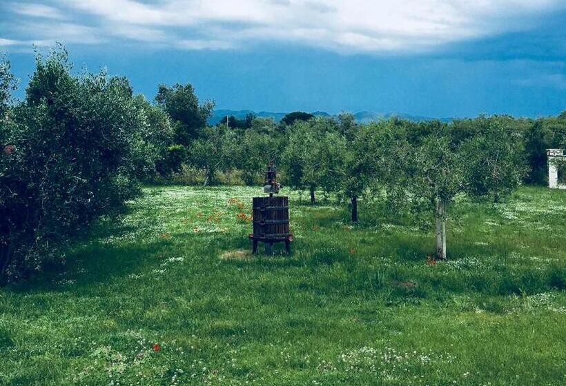 اتاق استاندارد, La Cipriana