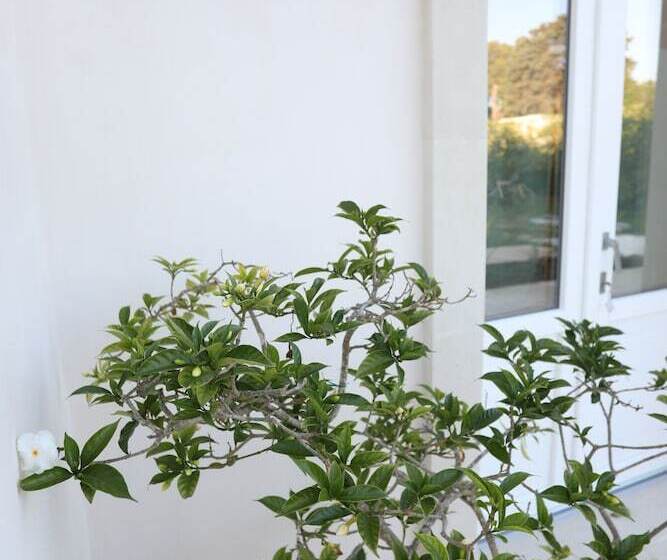 اتاق سوپریور, Podere 43 Charme B&b