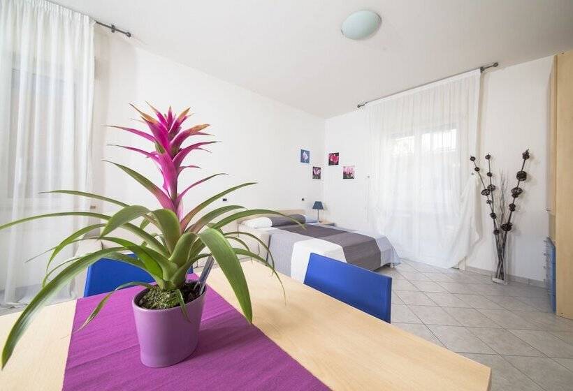 استودیوی استاندارد, Residence Verbena
