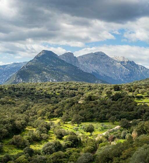 اتاق استاندارد, Agriturismo Canales