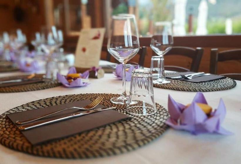 کلبه ییلاقی سوپریور یک خوابه, Agriturismo Il Timo