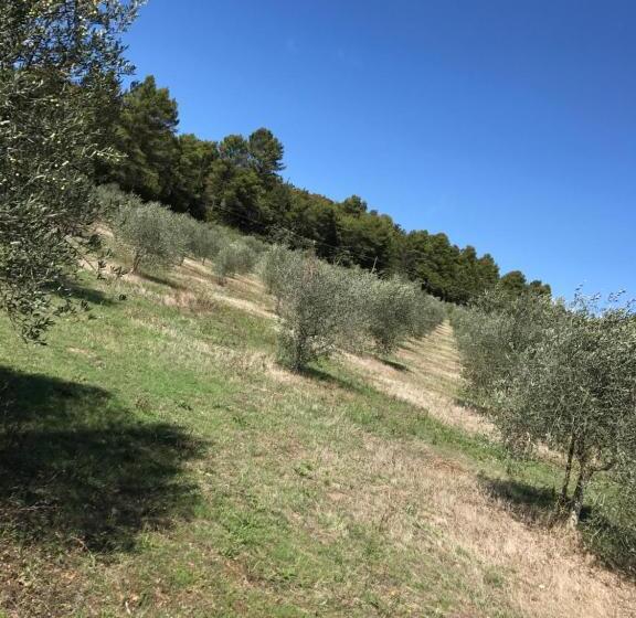 استودیوی استاندارد, Azienda Agrituristica I Tre Casali