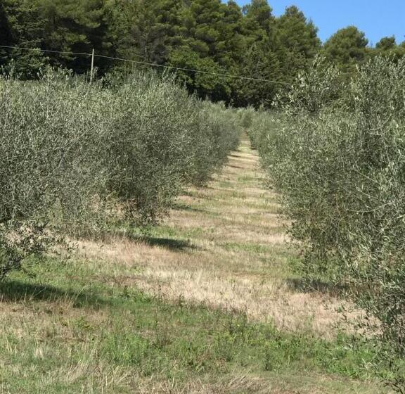 استودیوی استاندارد, Azienda Agrituristica I Tre Casali