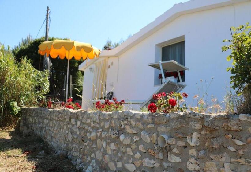 بانگلوی استاندارد, Albergo Biscotti