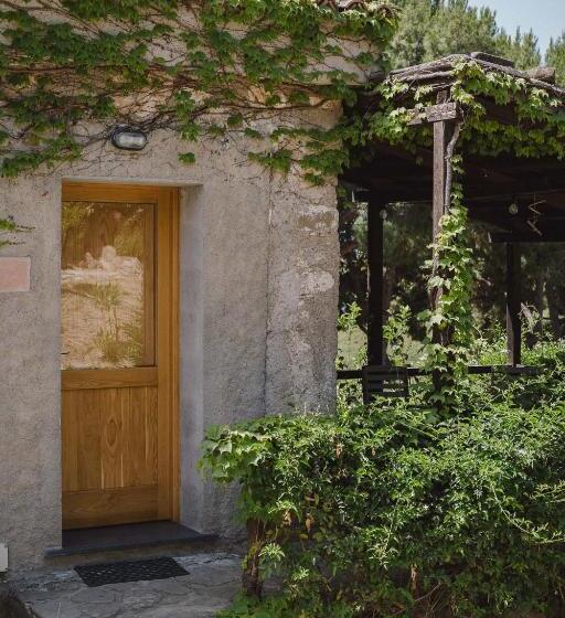 اتاق سوپریور خانوادگی, Masseria Agriturismo Torre Di Albidona