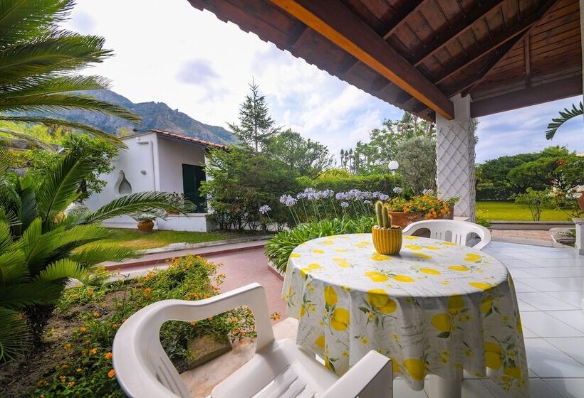 استودیوی استاندارد, Residence San Domenico