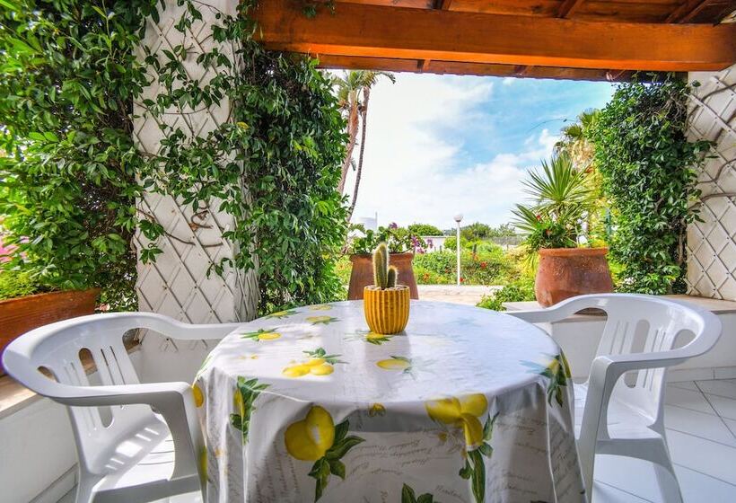 آپارتمان 1 خوابه, Residence San Domenico