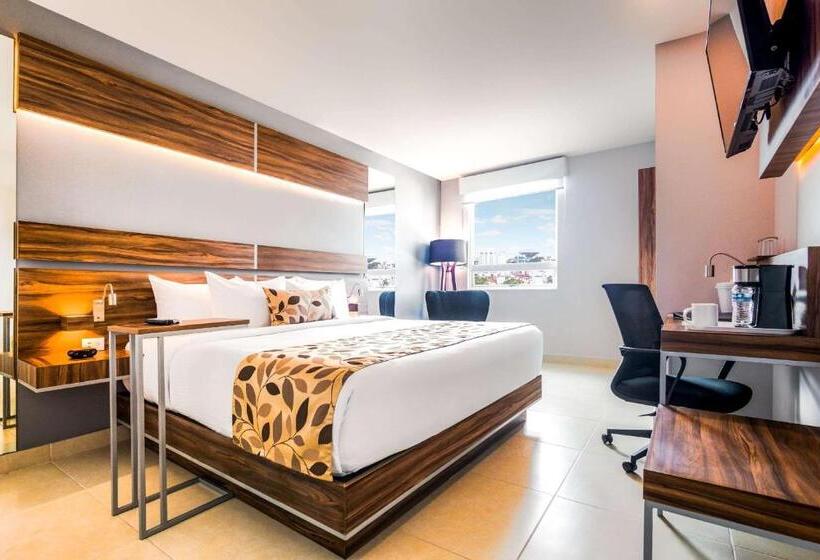 اتاق استاندارد با 2 تخت دوبل, Sleep Inn Villahermosa