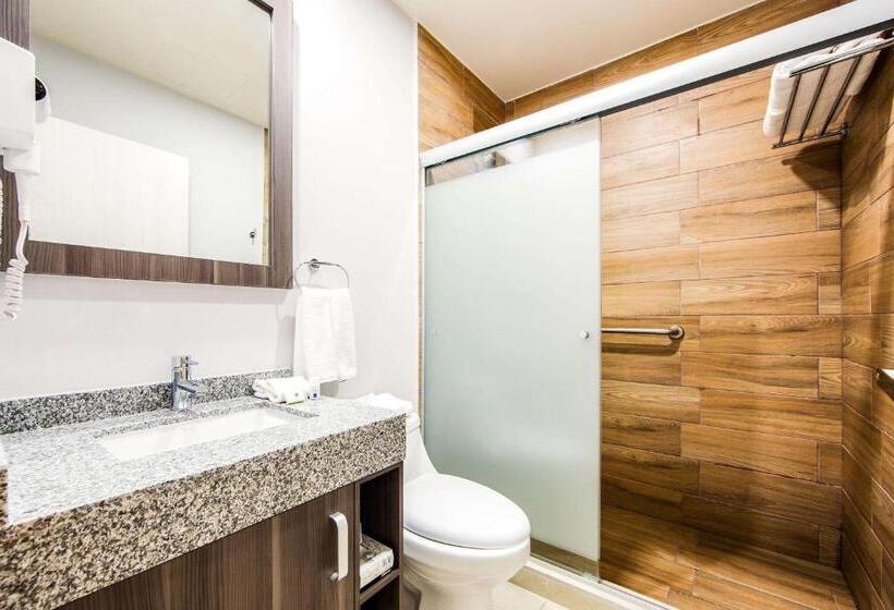 اتاق استاندارد با تخت بزرگ, Sleep Inn Villahermosa