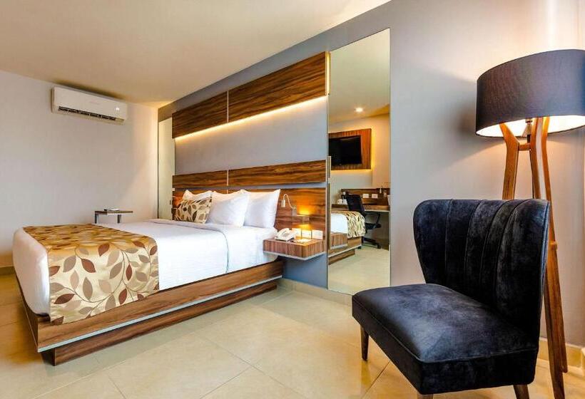 اتاق استاندارد با تخت بزرگ, Sleep Inn Villahermosa