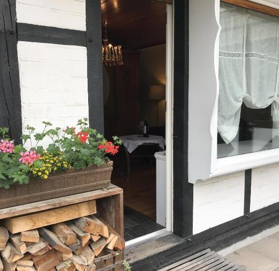 سوییت جونیور, Alte Schreinerei Boutique