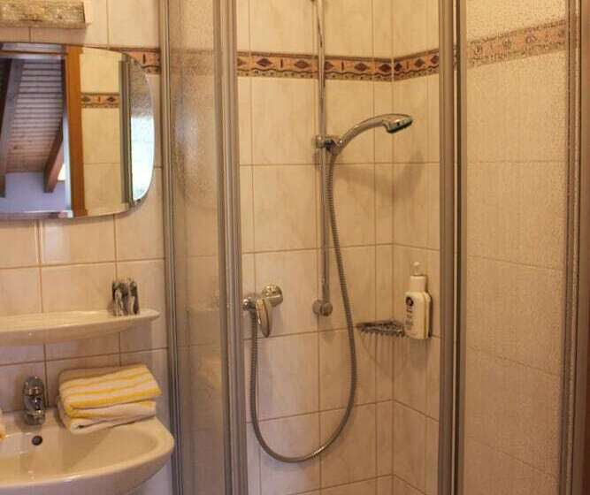 اتاق استاندارد, Landgasthof Hotel Sauer