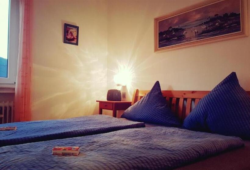اتاق استاندارد, Pension Regina/gräfenhaus