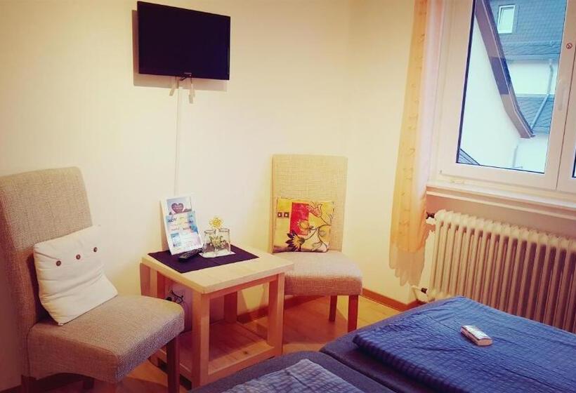 اتاق استاندارد, Pension Regina/gräfenhaus