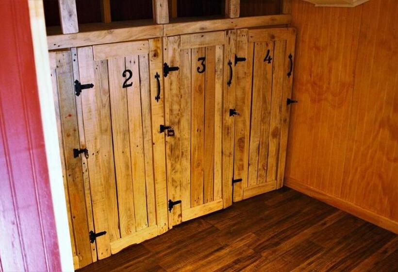 تختخواب در اتاق مشترک, Corner Hostel Puerto Natales