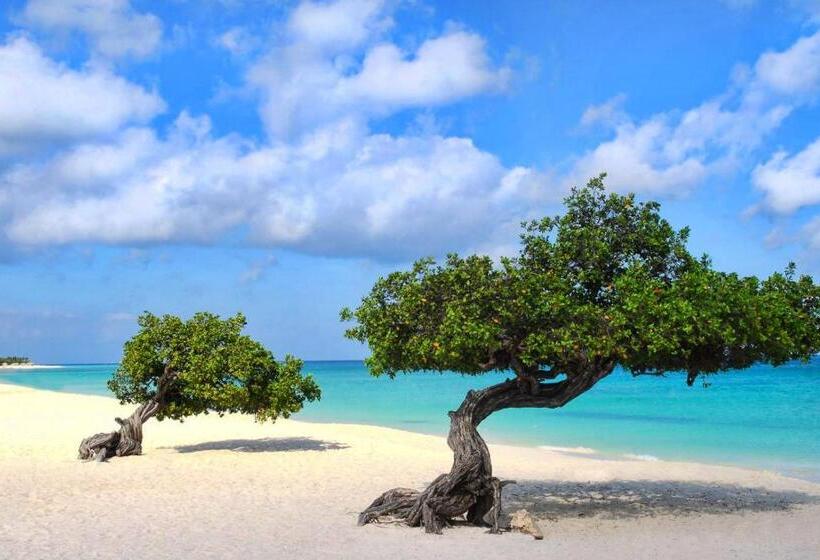 سوییت لوکس, Buddha Studios Aruba