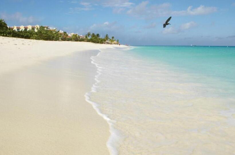 سوییت لوکس, Buddha Studios Aruba