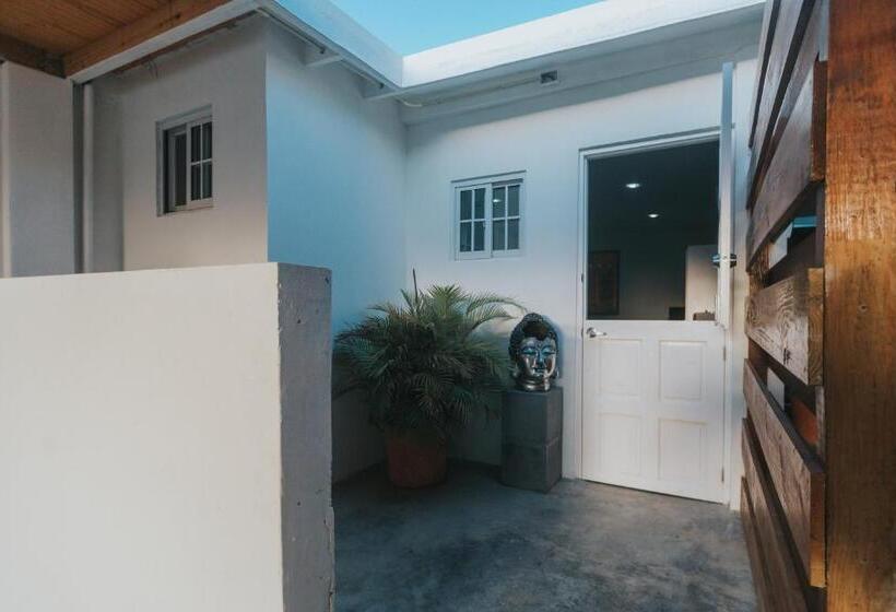 سوییت لوکس, Buddha Studios Aruba