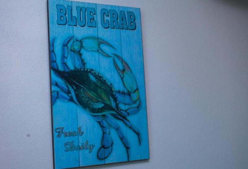استودیوی استاندارد, Ocean Blue Beach