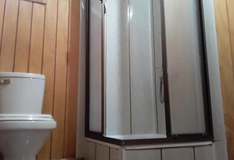 اتاق استاندارد یک نفره, Hostal Don Pedro